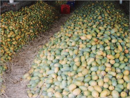 Mangoes