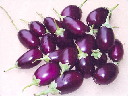 Brinjal