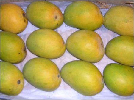 Alphonso Mango