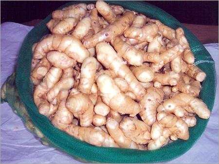Fresh Turmeric (Amba Haldi) - Off-White Fingers, Bulk Packaging | Natural, Flavorful, Versatile Culinary Spice