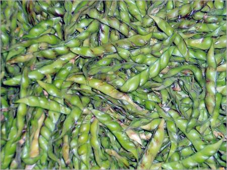 Green Pigeon Peas (Tuve)