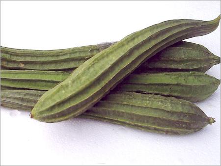 Ridge Gourd (Turia)