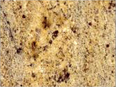 Granite