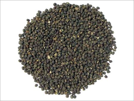 Black Dal