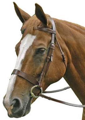 Flat Noseband Leather Bridle