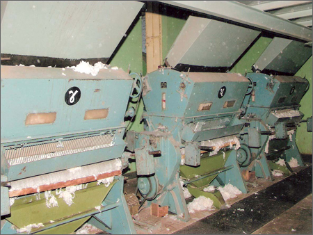 Raw Cotton Factory