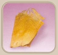 palm det net