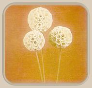 sola crape ball