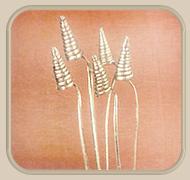 cane cone