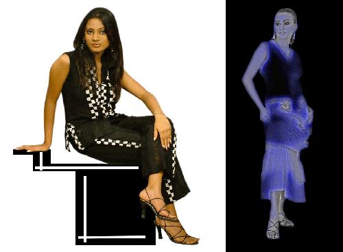 Stylish Ladies Capri