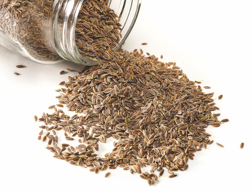Dill Seeds