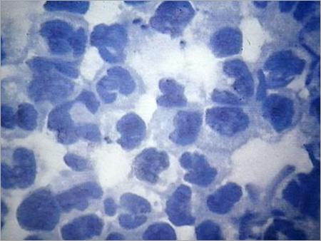 Methylene Blue Zinc Free