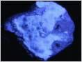 Mineral