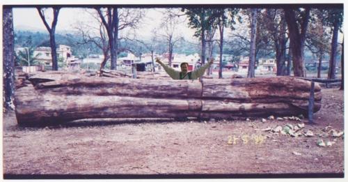 Rose Wood Guitar Parts