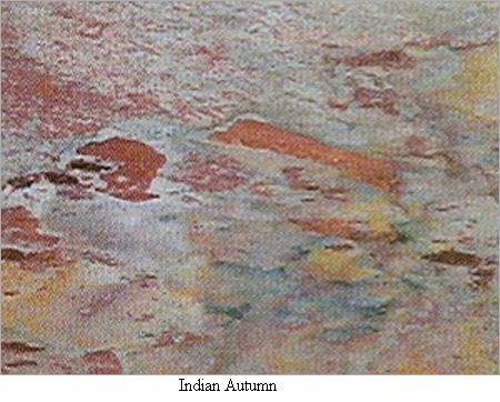 Indian Autumn Mosaic