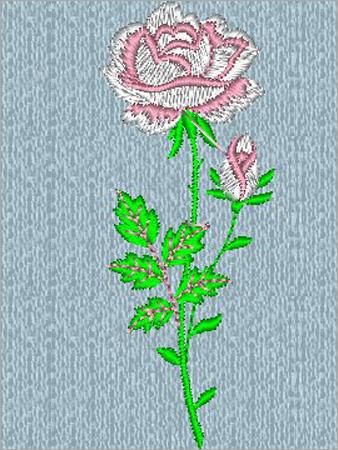 Rose Stem