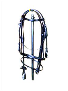 Horse Bridle