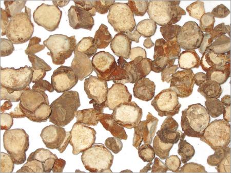 Zedoary Root