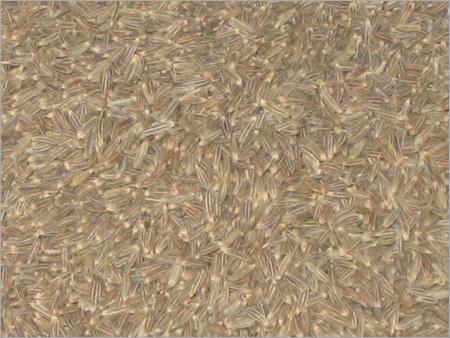 Cumin Seed