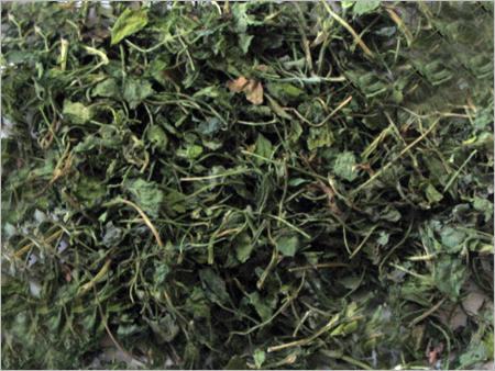 Kasuri Methi
