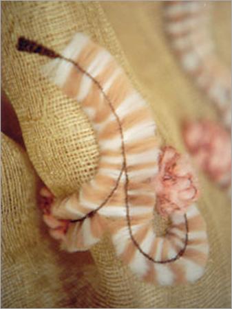 Scarves & Stoles
