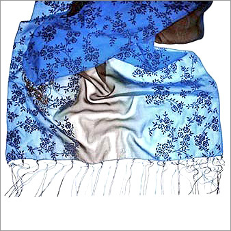 Scarves & Accessories
