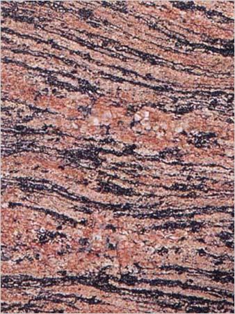 Tiger Skin