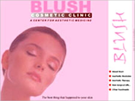 Web Designing Consultancy