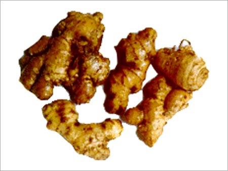 Ginger