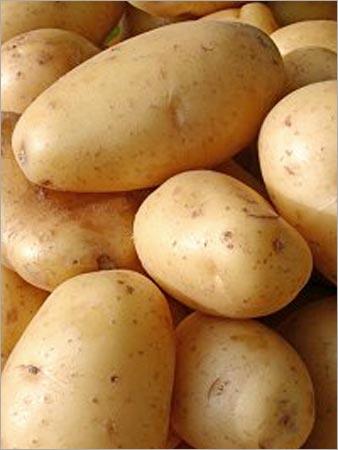 Potato