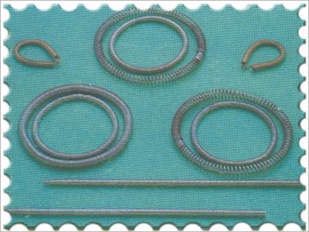 Garter Spring