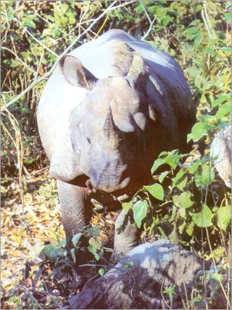 Tour & Travel Agents