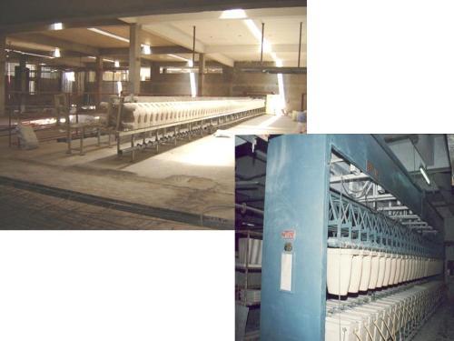 Battery Casting Plants