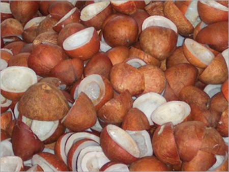 Coconut