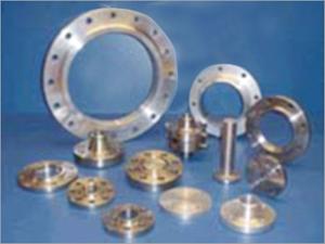 Forged Flanges