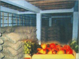 Fresh Fruits