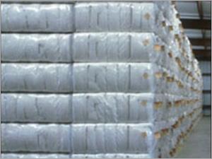 Cotton Bulk