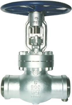 Steel Globe Valve