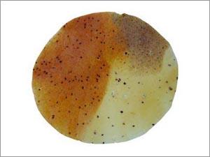 Papad Tiranga Special