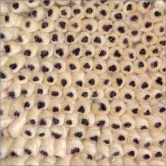 Wool Shag Rug