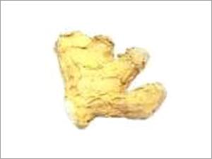 Bleached Ginger - Pale Yellow Root Spice | Natural Flavor Culinary Uses Versatile Bulk Packaging
