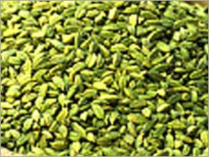 Green Cardamom Pods