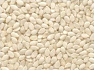 Mechanically Hulled Sesame Seed (MHSS)