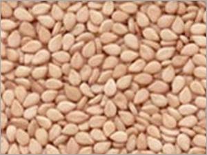 Natural White Sesame Seed (NWSS)