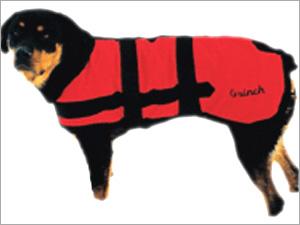 Dog Blanket