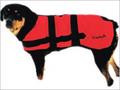 Dog Blanket