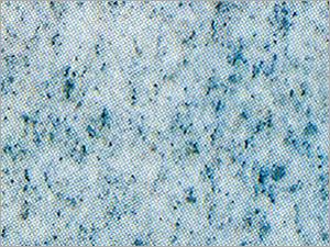 Imperial White Granite