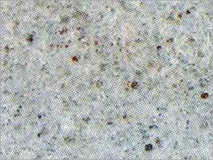 Kashmir White Granite
