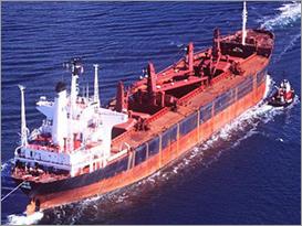 Sea Freight Forwarding Services