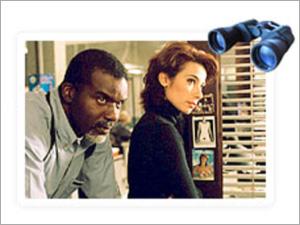 Detective Services  - Marital